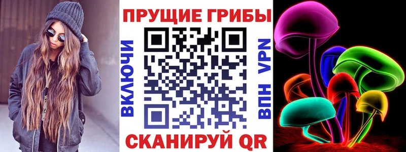 Псилоцибиновые грибы MAGIC MUSHROOMS  Купить где  Аркадак 